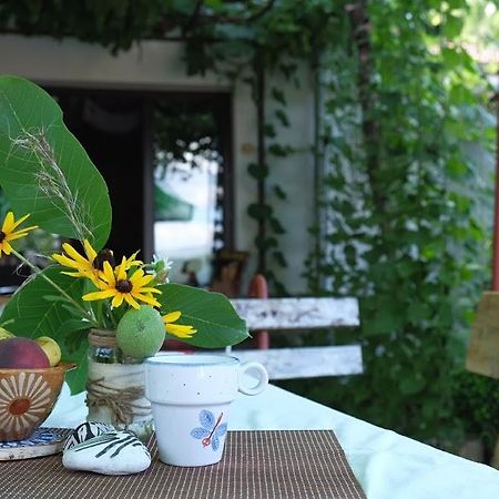 Hikers Hostel Велико-Тирново Екстер'єр фото